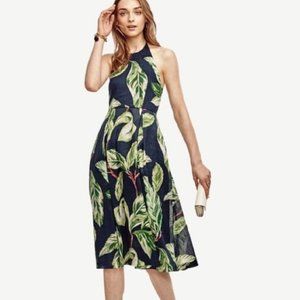 Ann Taylor Hawaiian Palm Tropical Leaf Halter Dress // Navy & green, Size 2